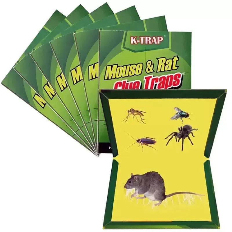 Set 10 Bucăți Capcană Lipici pe Carton pentru Rozătoare – Tip Carte