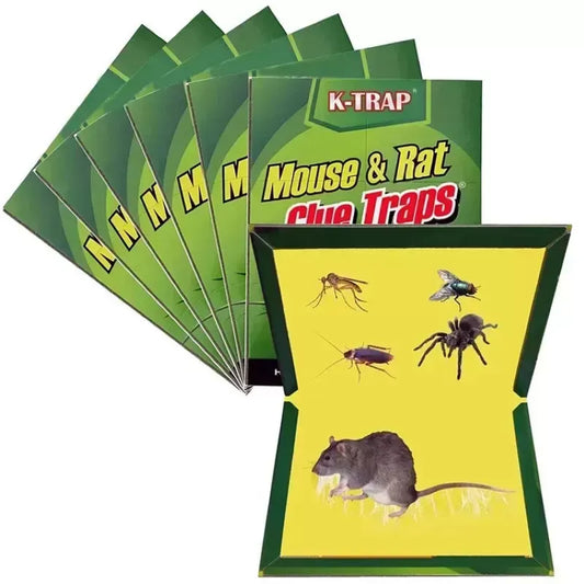 Set 10 Bucăți Capcană Lipici pe Carton pentru Rozătoare – Tip Carte